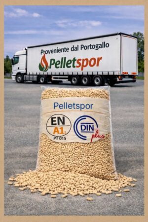 Pelletspor - Conifera chiara - Portogallo - immagine 4